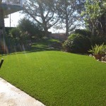 Astro Turf San Diego Ca, Artificial Grass Chula Vista Reviews,