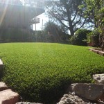 Synthetic Lawn San Diego, Chula Vista Artificial Lawns