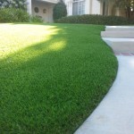 Putting Greens For Home San Diego, Best Artificial Grass Chula Vista