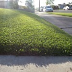 Artificial Grass Companies In Chula Vista, Artificial Grass Contractors San Diego,