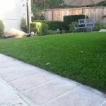 Synthetic Turf In San Diego, Best Artificial Turf In Chula Vista