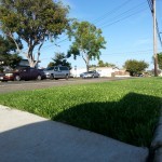 Chula Vista Artificial Turf Installation, Synthetic Grass San Diego Ca