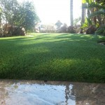 Artificial Grass Installation Chula Vista, Synthetic Turf San Diego Ca