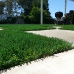 Artificial Grass For Backyard San Diego, Artificial Grass Installation Chula Vista