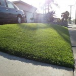 Artificial Grass Chula Vista Reviews, Artificial Grass For Backyard San Diego,